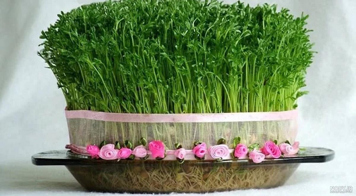 عکس تخمه آفتابگردان ؛ عکس سبزه تخمه آفتابگردان برای بسته بندی ...