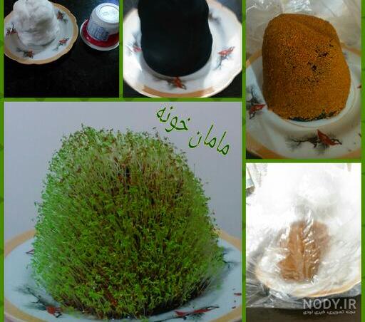 عکس سبزه با خاکشیر عکس سبزه با خاکشیر