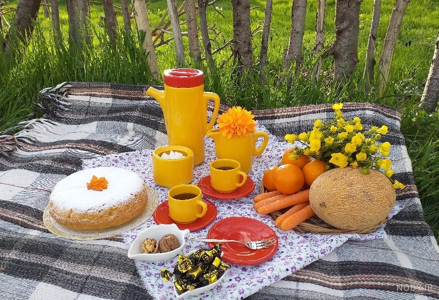 عکس سفره غذا در طبیعت