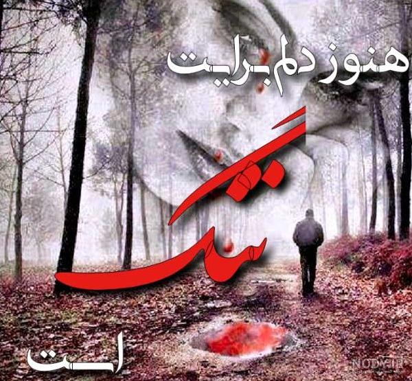 عکس نوشته دلتنگی و دوری از عشق