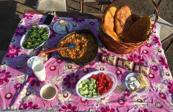 غذا در مسافرت و طبیعت گردی و چک لیست سفر