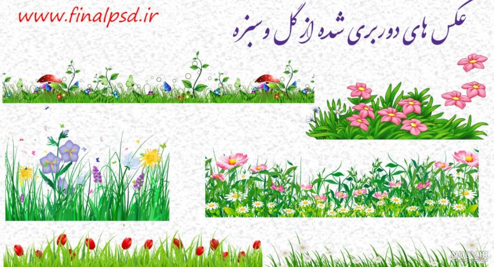 بلوط بزرگ پاییزی و چمن سبز روی یک چمنزار در اطراف 1016929