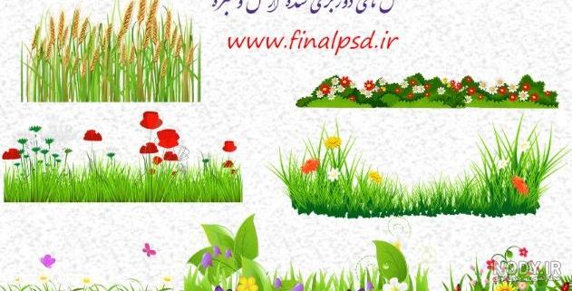بلوط بزرگ پاییزی و چمن سبز روی یک چمنزار در اطراف 1016929