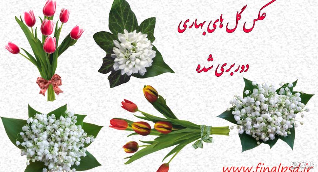 تصویر چمن زار