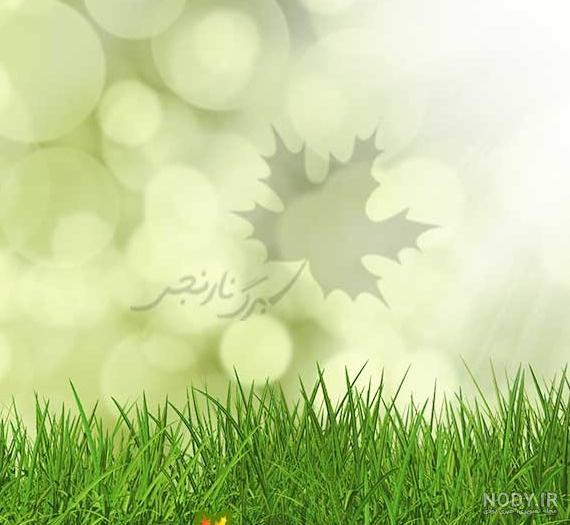 دانلود عکس چمن زار