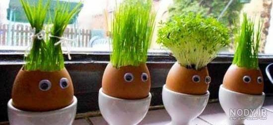 طرز تهیه سبزه عید با عدس نکاتی که حتما باید رعایت کنید