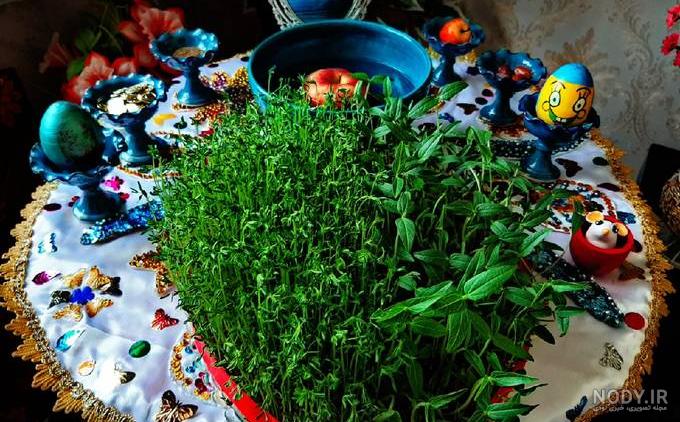 طرز تهیه سبزه عید با عدس نکاتی که حتما باید رعایت کنید