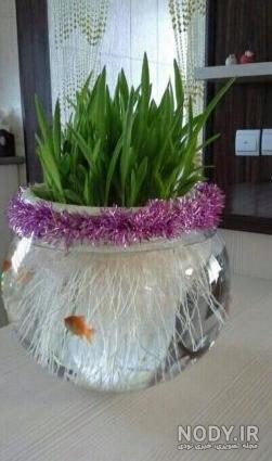 عکس سبزه ذرت برای عید عکس سبزه ذرت برای عید