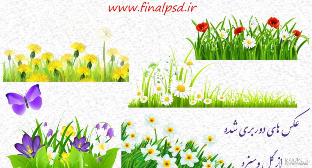 عکس سبزه زار چمن