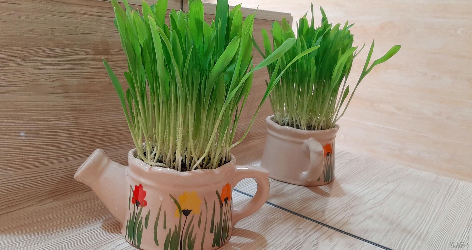عکس ظرف سبزه عید عکس ظرف سبزه عید