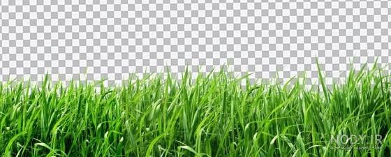 قاب مدیا | عکس زمینه گوشی با کیفیت بافت چمن , سبزه , سبز