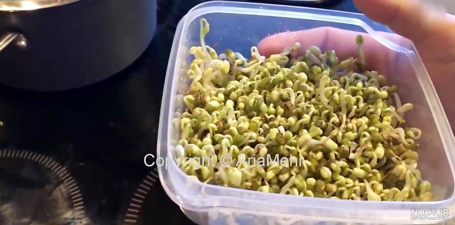 کاشت سبزه نوروز با ماش | خبرگزاری صدا و سیما کاشت سبزه نوروز با ماش | خبرگزاری صدا و سیما