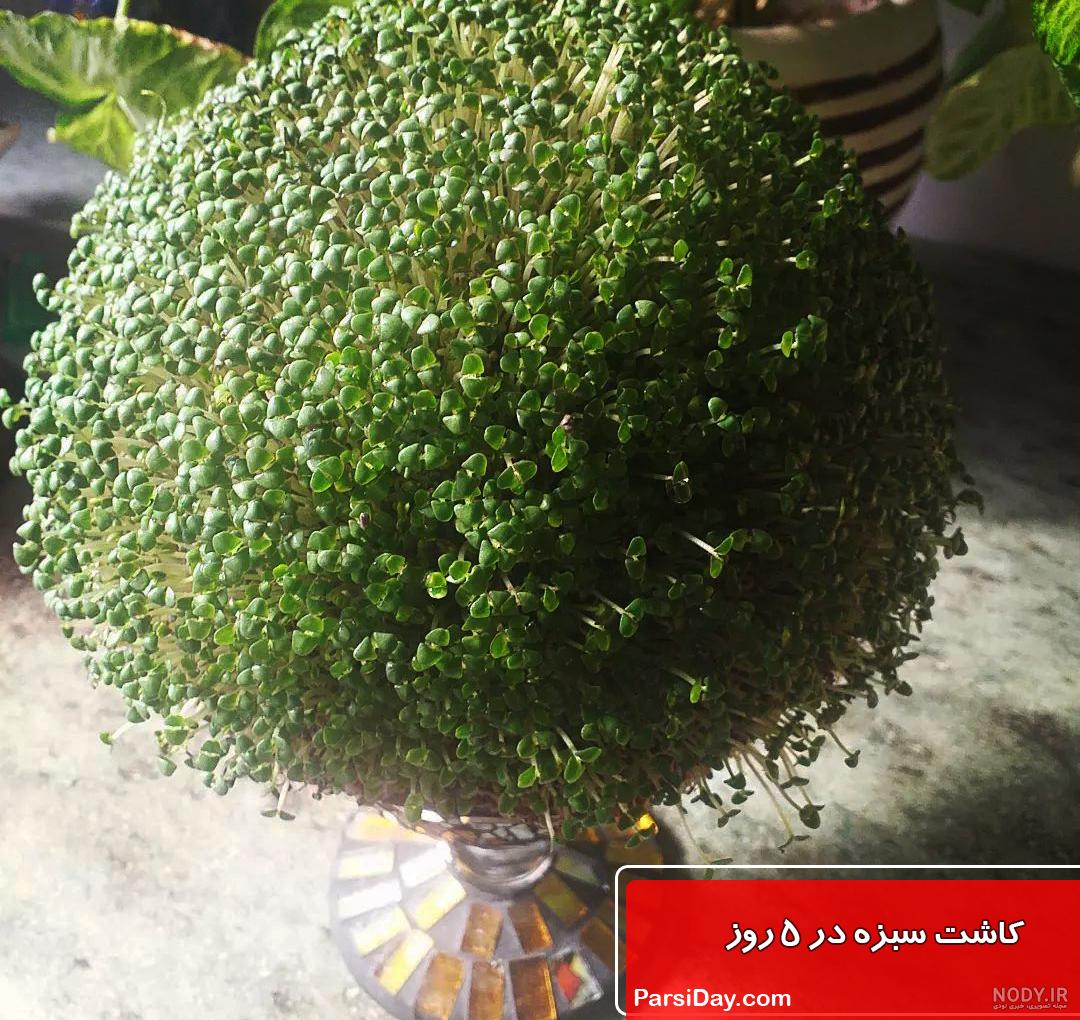 www.iranve.com/wp-content/uploads/2019/03/image-id...