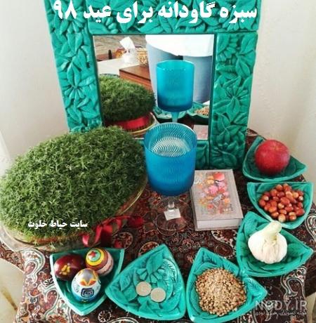 آموزش سبز کردن سبزه گاو دانه برای سفره هفت سین