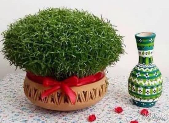 آموزش کاشت سبزه عيد نوروز