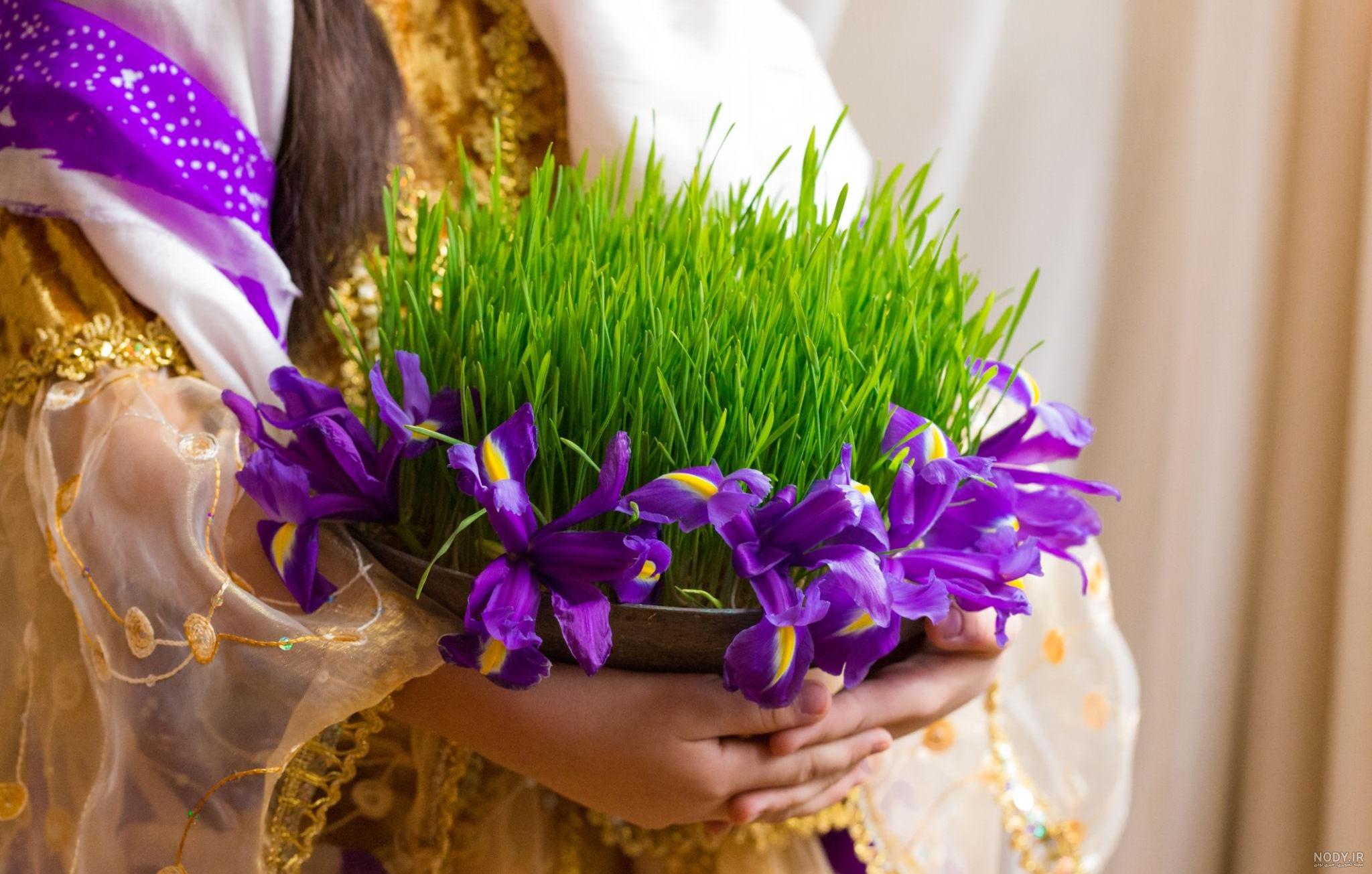تزیین سبزه سفره هفت سین مناسب عید نوروز - ساتیشو