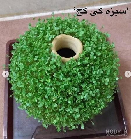 تصاویر زیبای سبزه نوروزی با کیفیت های بالا مخصوص پروفایل نوروز ...