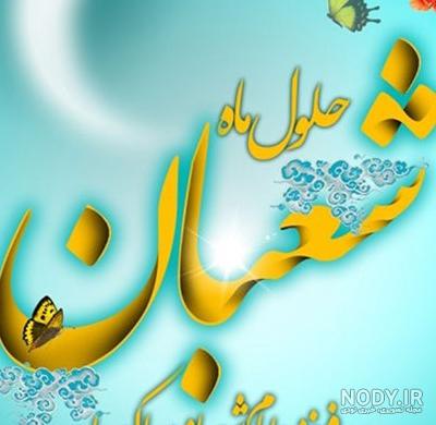 دی دی فیلم دی دی فیلم