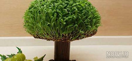 طرز تهیه ❤️سبزه گاودانه(به قول بروجردی ها گانه) ساده و خوشمزه توسط ...