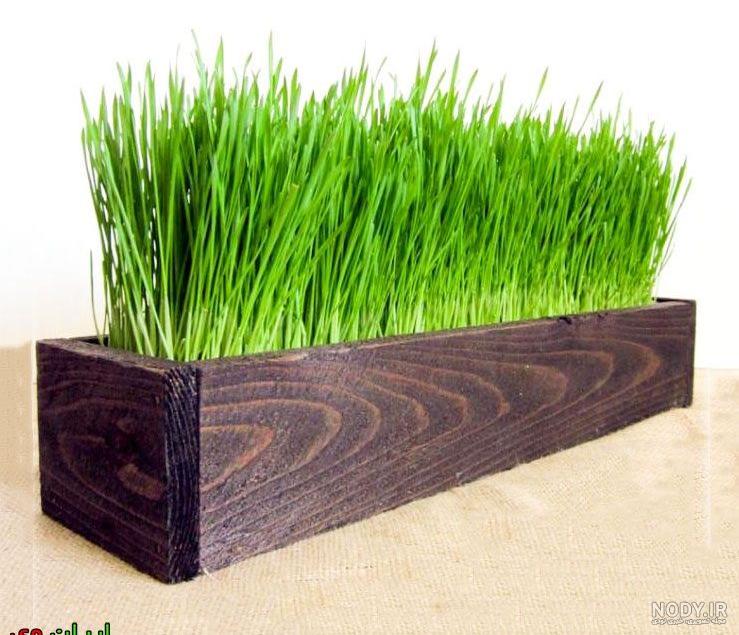 عکس جای سبزه عکس جای سبزه