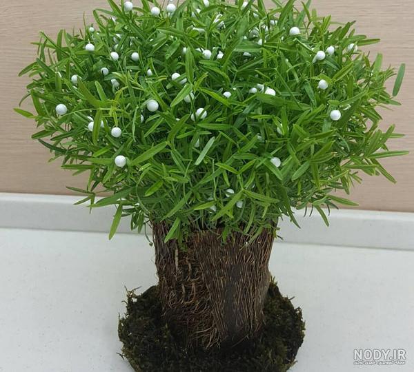 عکس سبزه درختی عکس سبزه درختی