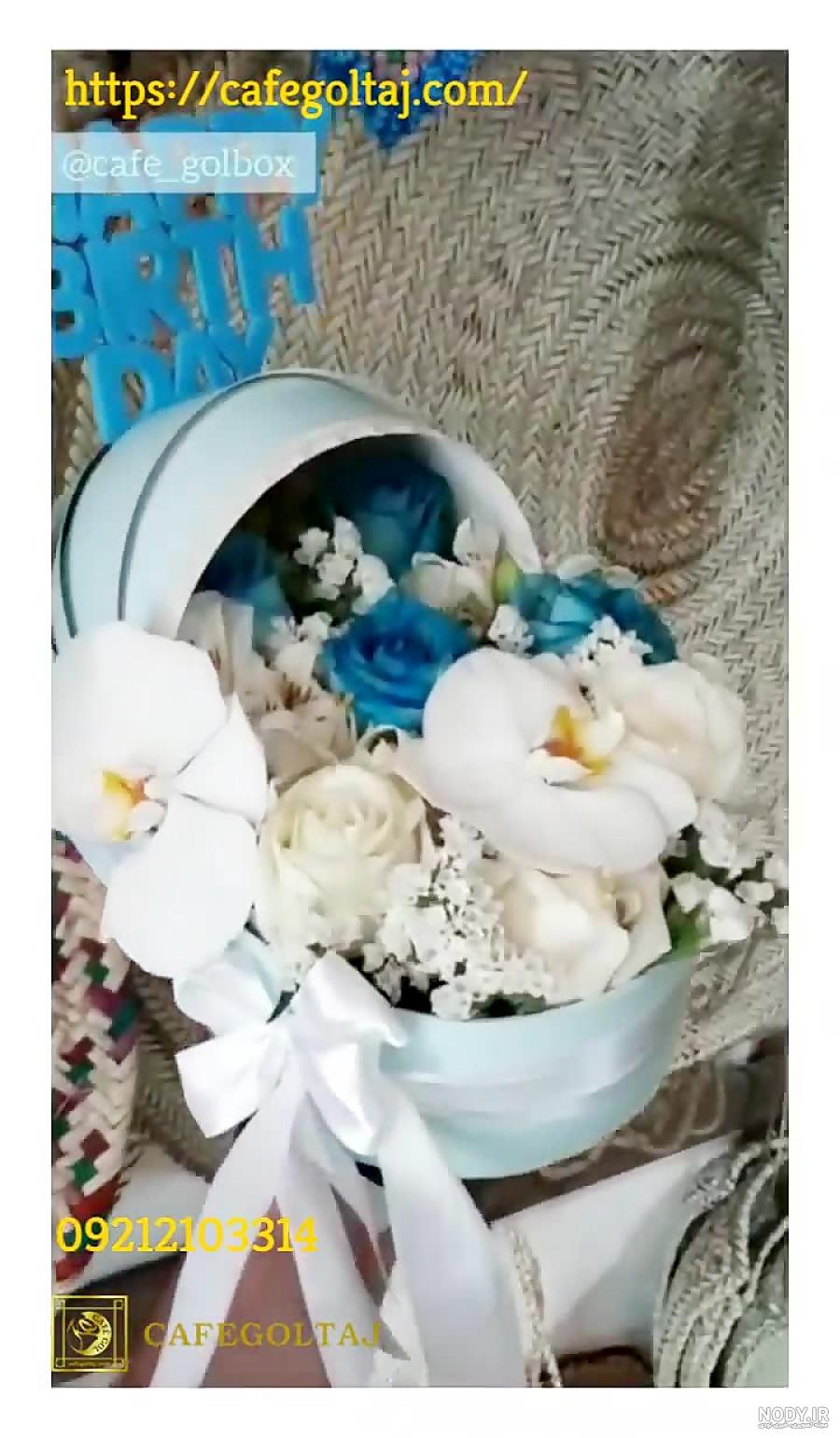 عکس بدنیا آمدن نوزاد پسر