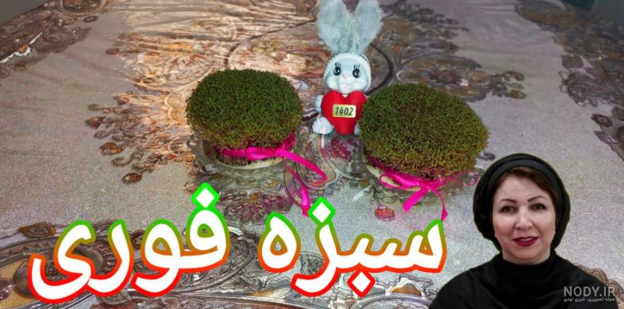 نحوه درست کردن و کاشت سبزه هفت سین برای عید نوروز با تخم منداب و ...