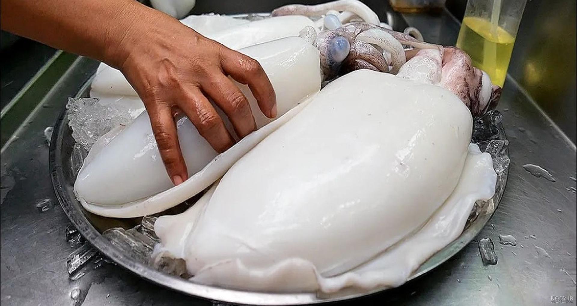 این سفره ماهی غول‌پیکر احتمالاً بزرگ‌ترین ماهی آب شیرین جهان است