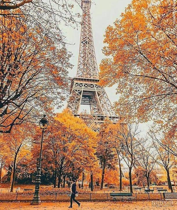 عکس طبیعت شهر پاریس