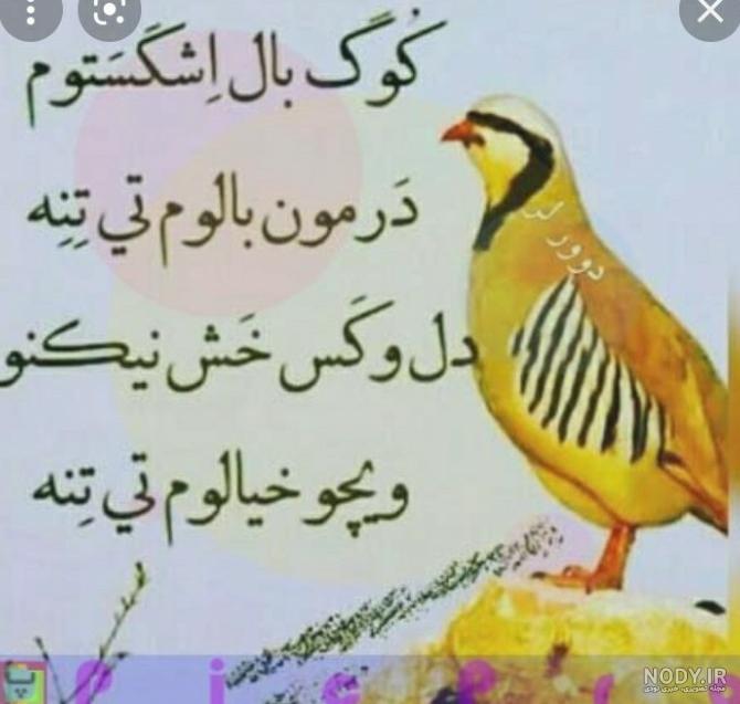 عکس نوشته زیبای لری عکس نوشته زیبای لری