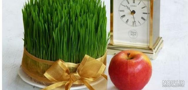 آموزش تصویری سبز کردن گندم عید (کاشت سبزه) · جدید ۱۴۰۳ -❤️ گهر