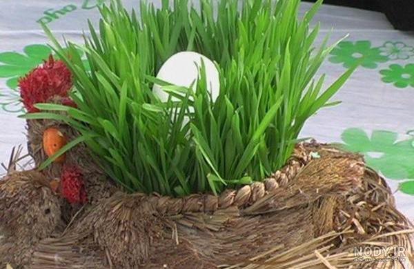آموزش سبزه گندم برای سفره هفت سین و عید نوروز