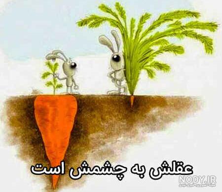 با یک گل بهار نمیشه | BaharIran Newspaper