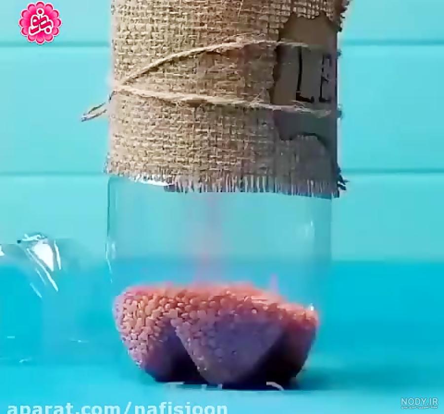 سبزه روی بطری نوشابه با تخم شربتی یا دانه چیا