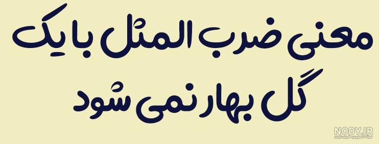 ضرب المثل با یک گل بهار نمی شود معنی - پروفایل ناب | مجله تفریحی و ...