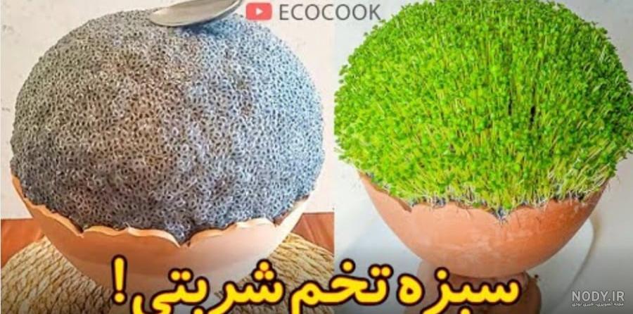 طرز تهیه سبزه عید با دانه چیا [تخمه شربتی] روی بطری، کوزه و اسفنج