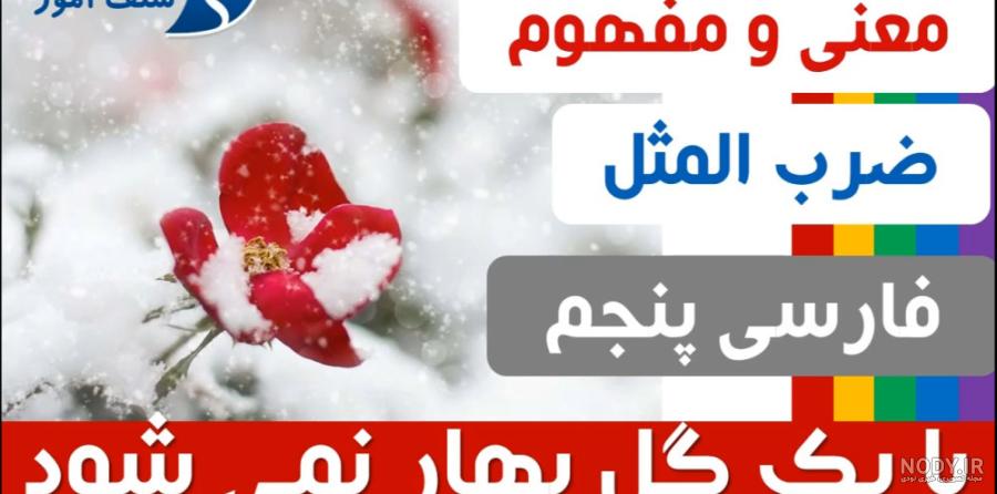 عکس ضرب المثل با یک گل بهار نمی شود - عکس نودی