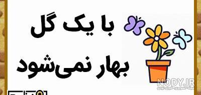 عکس ضرب المثل با یک گل بهار نمیشه