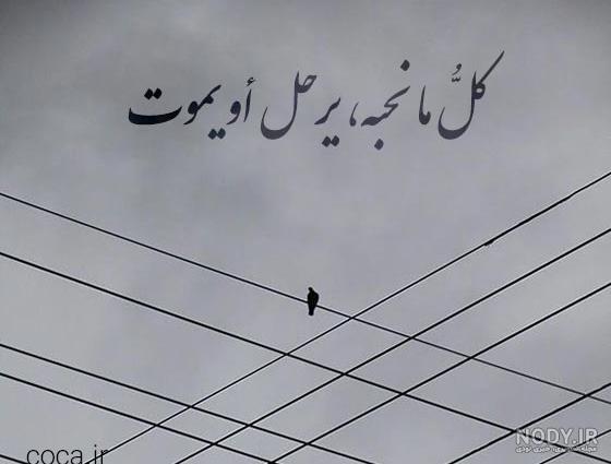 عکسهای نوشته دار عربی - تــــــــوپ تـــــــــاپ