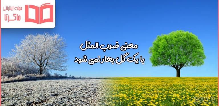 معنی ضرب المثل " با یک گل بهار نمی شود " + داستان - دانشچی