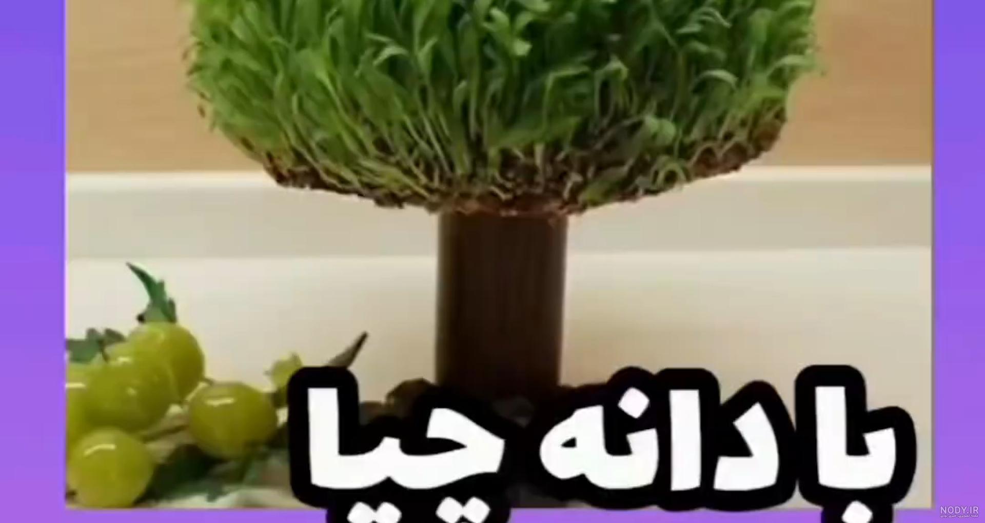 هنرنمایی اعجاب انگیز با دانه چیا!