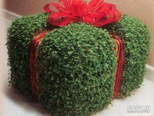 آموزش ساخت سبزه کوزه ای برای عید