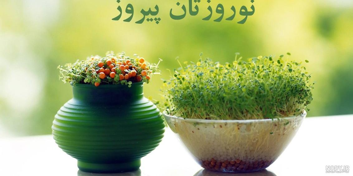 دوربری+رایگان+چمن دوربری+رایگان+چمن
