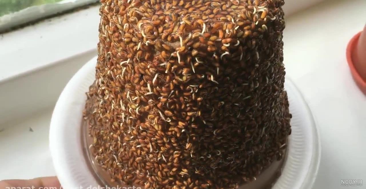 سبز کردن سبزه روی کوزه با روش‌های مختلف