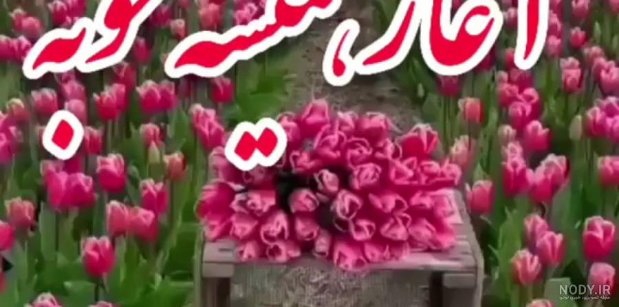 سلام صبحتون بخیر . کلیپ صبح بخیر