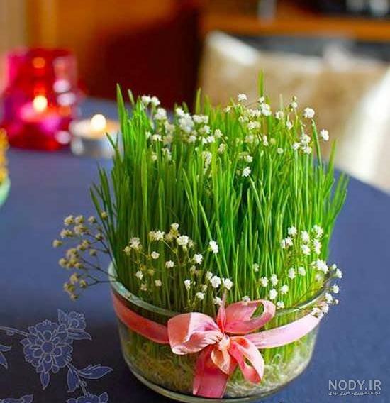 طرز تهیه سبزه ماش برای عید نوروز (آموزش کامل)