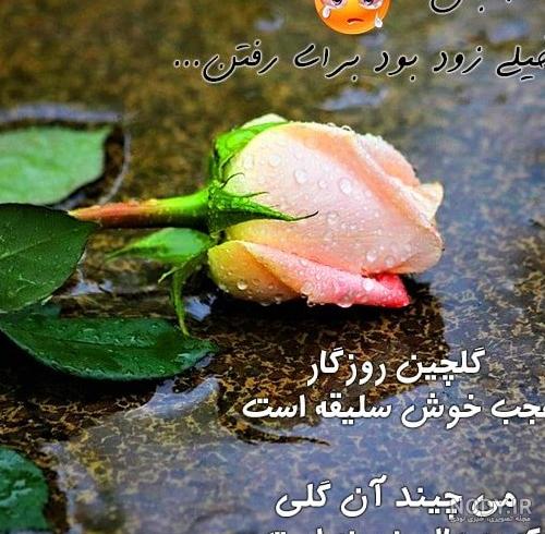 عکس تسلیت زلزله خوی