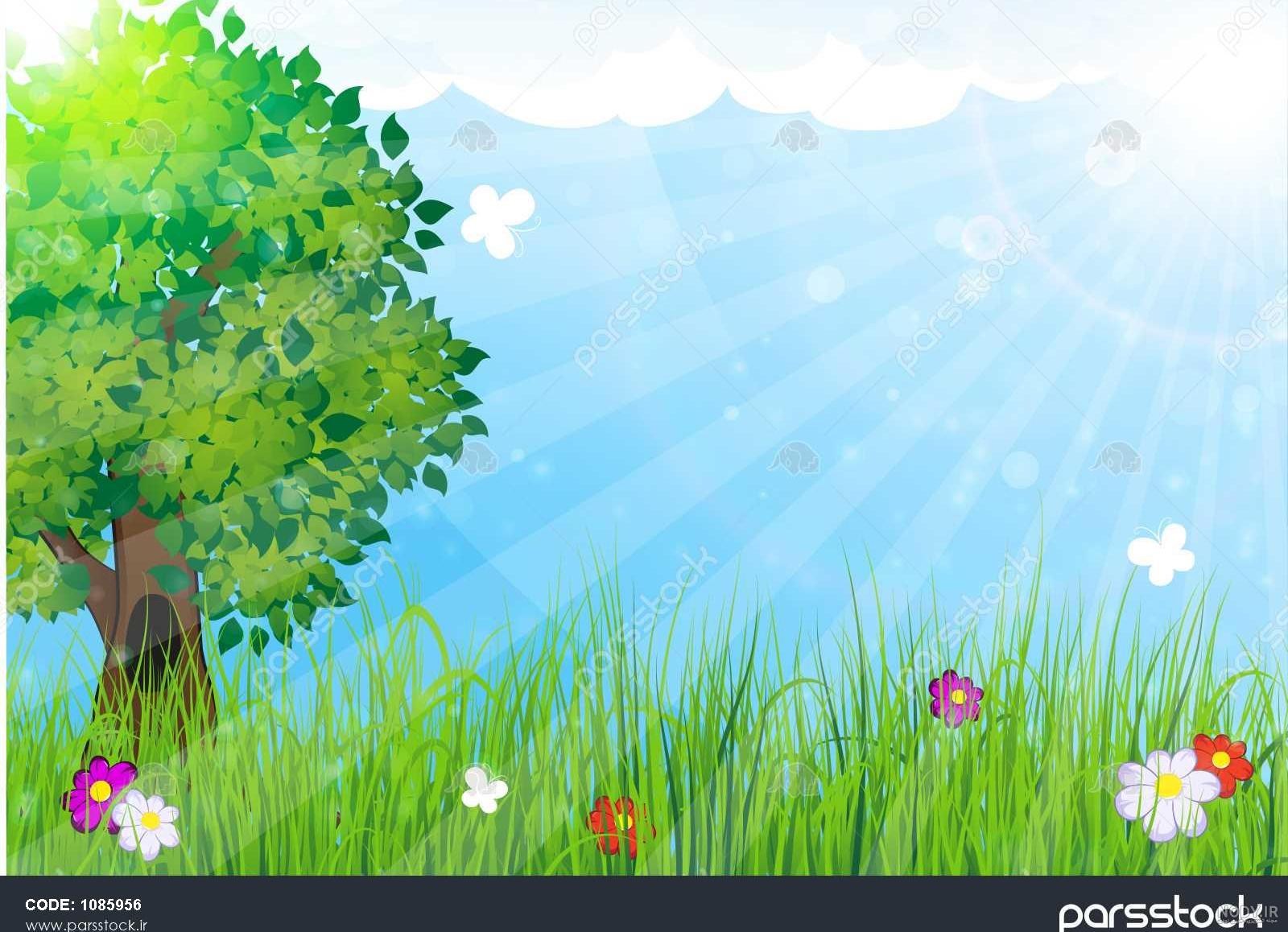 عکس سبزه و درخت - عکس نودی