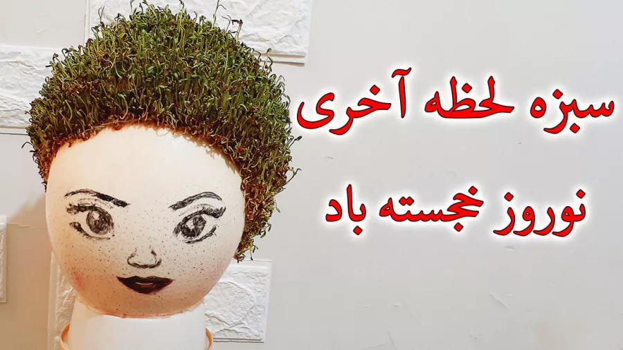 عکس سبزه کوزه - عکس نودی
