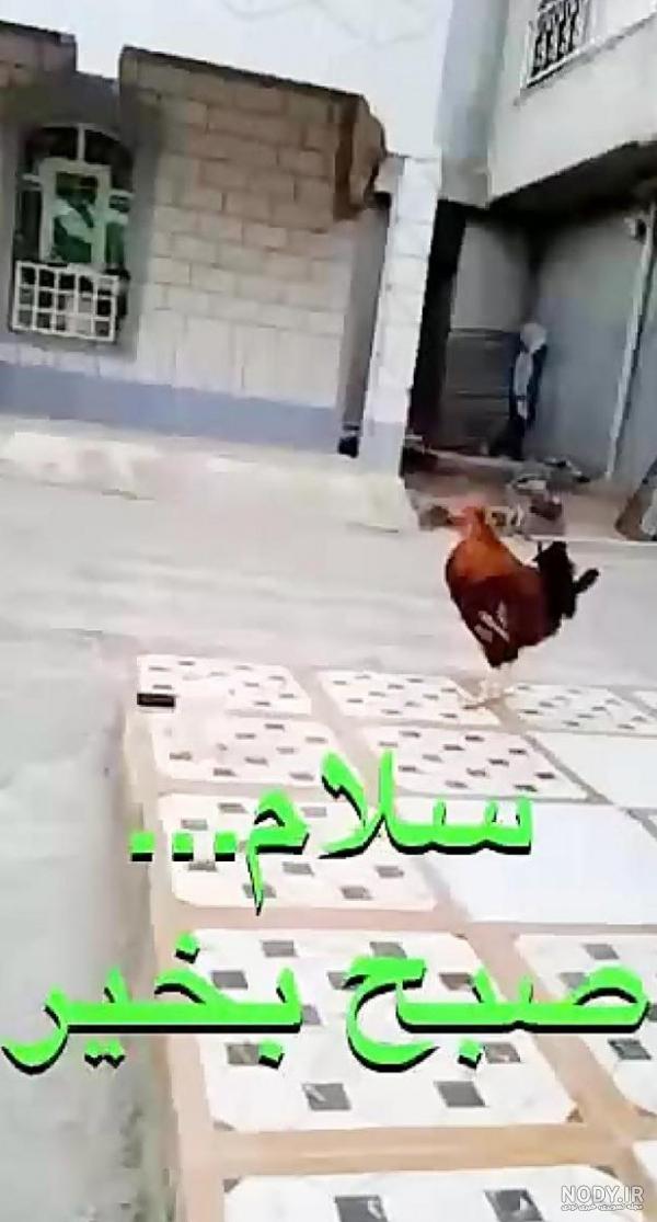 عکس نوشته خنده دار سلام